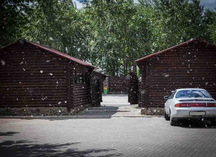 Чим небезпечний тополиний пух для автомобіля, як з ним боротися