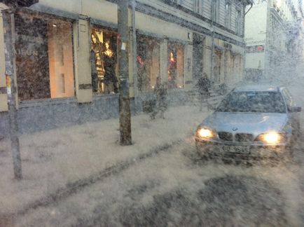 Ce este periculos puf de plop pentru o mașină, cum să se ocupe de ea