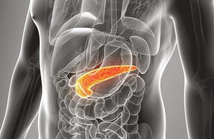 Ce nu-i place pancreasul sau cum să eviți problemele de sănătate