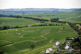 Ce este appelion, degustarea de vin de vin mic mic