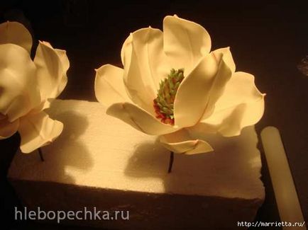 Magnolia flori din mastic de zahăr și porțelan rece