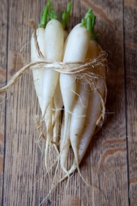 Daikon hasznos tulajdonságok és ellenjavallatok japán retek