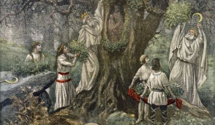 Bani în copac ca o ciumă de copaci xxi secol să se transforme într-un medicament
