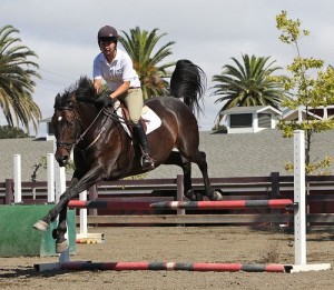 Nouă tipuri de obstacole și impactul lor asupra saltului de cai, cai esu