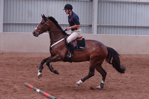 Дев'ять типів перешкод і їх вплив на стрибок коня, esu horses