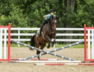 Дев'ять типів перешкод і їх вплив на стрибок коня, esu horses