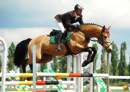 Дев'ять типів перешкод і їх вплив на стрибок коня, esu horses