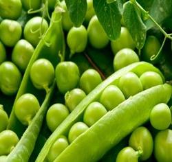 Дієта «зелений горошок» - дієти для схуднення