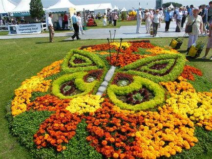 Design de paturi de flori și grădini de flori în țară - o fotografie de opțiuni interesante