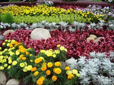 Design de paturi de flori și grădini de flori în țară - o fotografie de opțiuni interesante