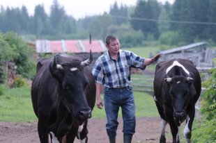 Для розвитку агропромислових кластерів потрібна кооперація - українська газета