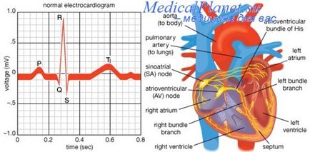 ECG pentru persoanele în vârstă