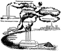 Ecologie și alergie