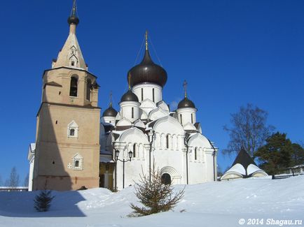 Тур вихідного дня в старицу і розплідник хаскі в Чукавина