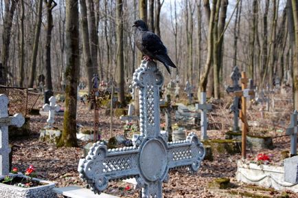 Excursie la cimitirul Smolensk din Sankt Petersburg