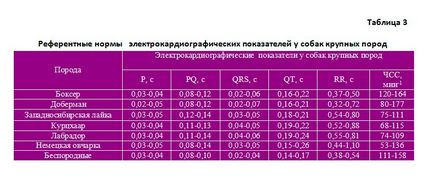 Normele electrocardiografice la câini și pisici