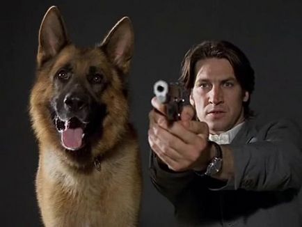 Фільми про поліцейських собак