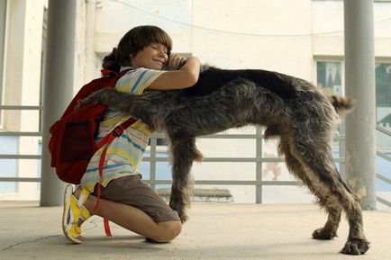 A film a szerelemről, lövés a kutyák - Valeria Gai Germanicus