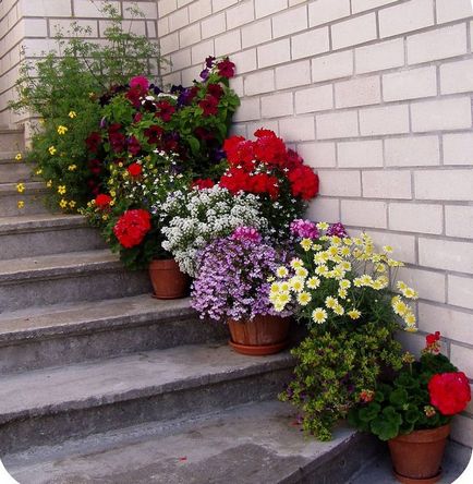 Kertészet, virágok konténerek