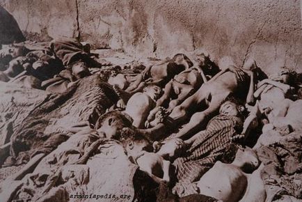 Геноцид вірмен в Туреччині короткий історичний огляд