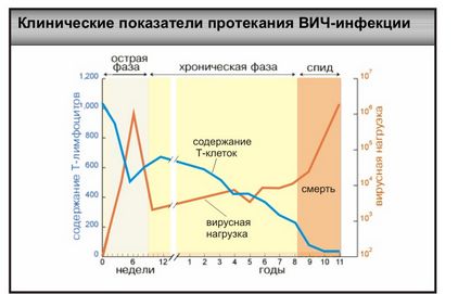 Гідра розмноження і розвиток