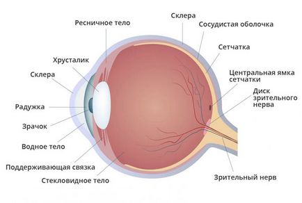Гіпертонія очі - що це таке, причини, симптоми, лікування, у дітей
