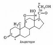 Anti-aging hormonok ténylegesen megrövidítette