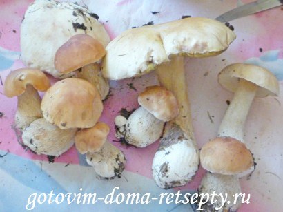 Ciuperci prajite în smântână, rețete - cu fotografie