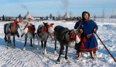 Ім'я Текле має грецьке походження, а що воно означає в перекладі