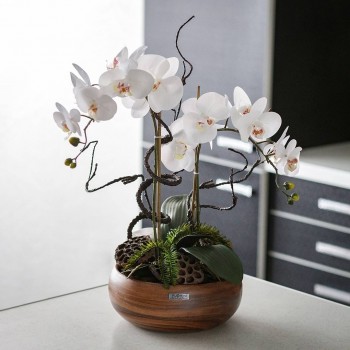 Штучна орхідея в горщику
