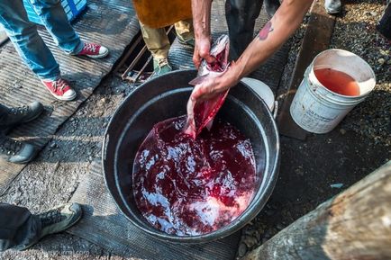 Cum să faci un caviar roșu - cinci minute (20 fotografii) - trinitate