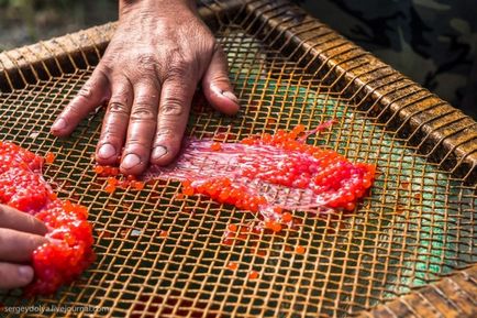 Cum să faci un caviar roșu - cinci minute (20 fotografii) - trinitate