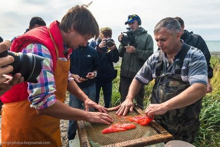 Cum să faci un caviar roșu - cinci minute (20 fotografii) - trinitate