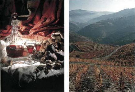 Cum a făcut Madeira Wine
