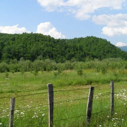 Як змінити цільове призначення нежитлового приміщення