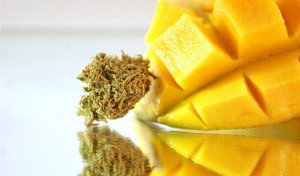 Cum mango poate spori efectul marijuanei