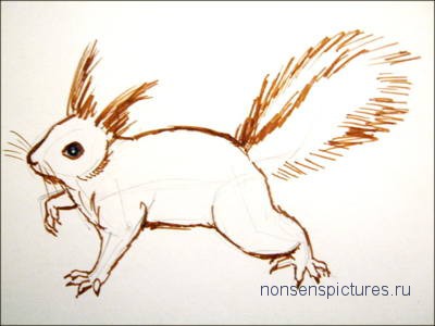 Cum să atragă o veveriță, blogul unui artist grafic al unui portar de novice, o mică carte de prostii