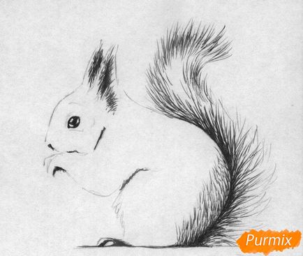 Cum să atragă o veveriță cu creioane și stilou pas cu pas