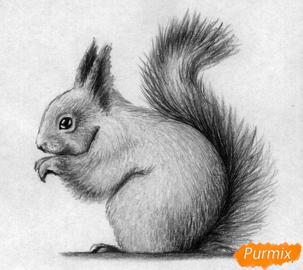 Cum să atragă o veveriță cu creioane și stilou pas cu pas