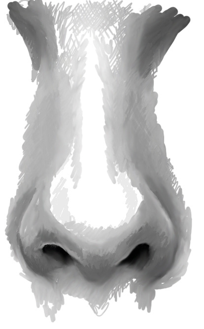 Як намалювати ніс людини