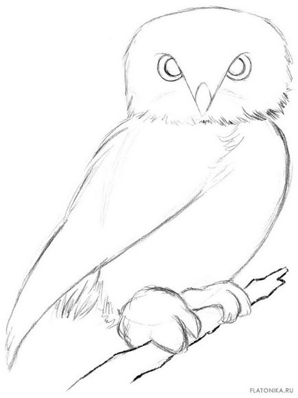 Як намалювати сову, flatonika