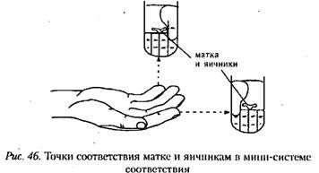 Як полегшити жіночі критичні дні