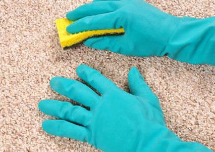Як очистити килим від шерсті і волосся