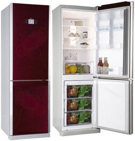 Cum să utilizați frigidere fără îngheț samsung, atlanta, indisite bosh fotografie