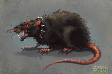 Hogyan lehet elkapni egy patkány otthon a történet egy kredenc