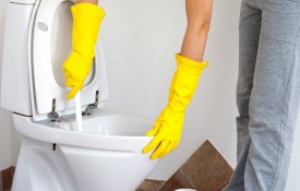 Як правильно чистити домашню сантехніку