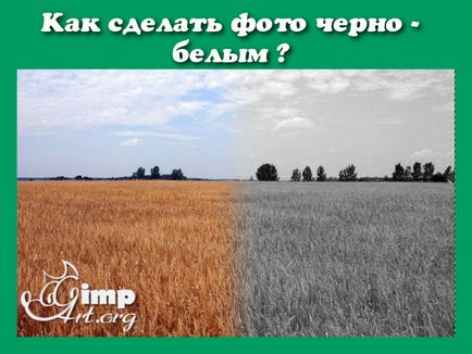 Як зробити фото чорно-білим в gimp