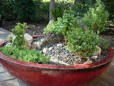 Cum să faci o grădină de mini rock în reședința ta de vară