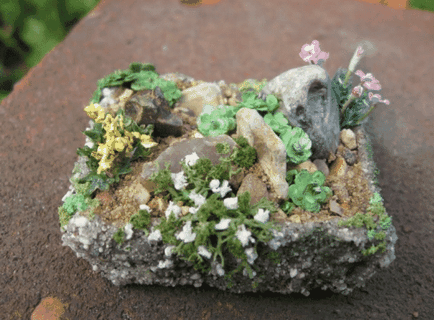 Cum să faci o grădină de mini rock în reședința ta de vară