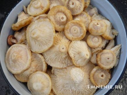 Як солити гриби холодним способом
